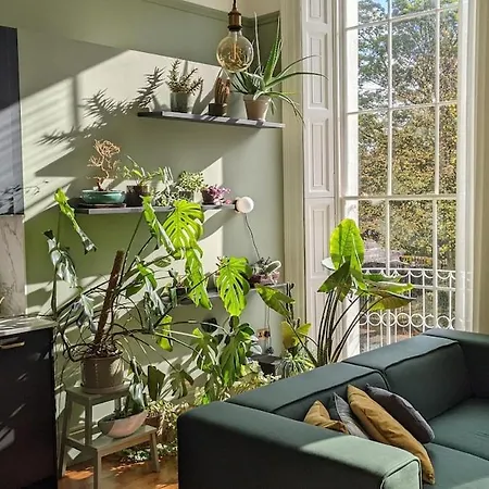 2 Bedrooms Georgian In The Heart Of The 公寓 都柏林