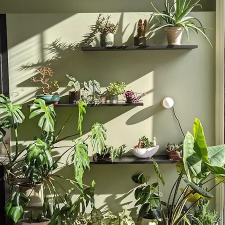 2 Bedrooms Georgian In The Heart Of The * 都柏林
