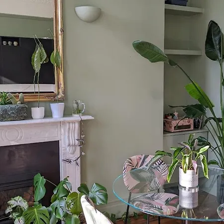 2 Bedrooms Georgian In The Heart Of The 公寓 都柏林
